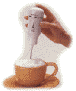 Go to Caff� Froth Turbo